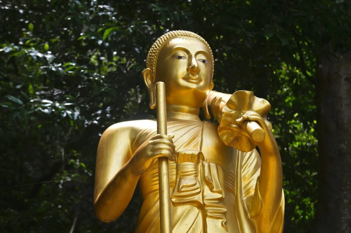 Serene golden Buddha statue standing gracefully in a lush, green forest environment.