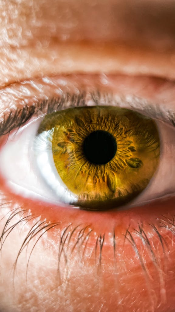 Macro shot of a mesmerizing golden eye, showcasing intricate iris details and rich colors.
