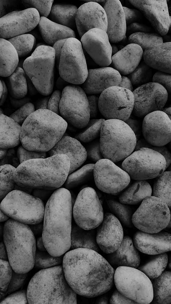 Close-up view of textured pebbles in black and white, emphasizing natural forms and patterns.